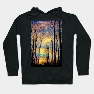 Head in the Clouds Hoodie